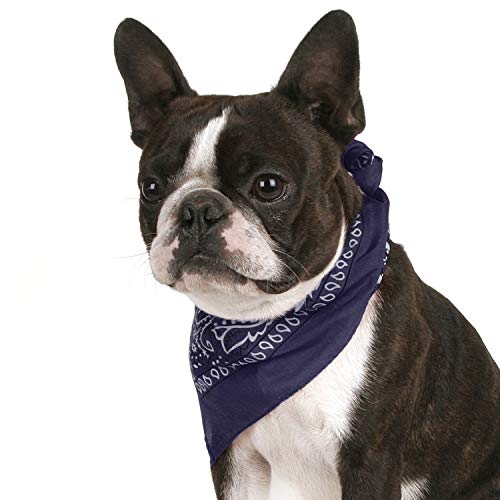 Jordefano JOBATRMIX-8 Pack Of 8 Paisley Cotton Dog Bandana Triangle Shape thumb #2