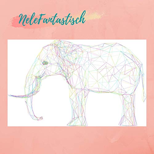 Couverture de NeleFantastisch