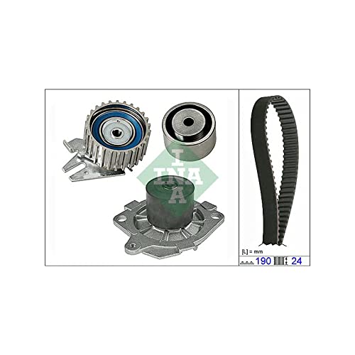 Ina 530 0620 30 Raffreddamento Motore