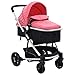 Festnight Cochecito Asiento para Bebé Plegable Silla de Paseo 2 en 1 Aluminio Rosa y Negro