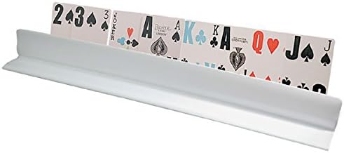 Reizen Jumbo Card Holder