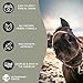 Vet Grade Horse Wellness Paste for Skin Anomalies | 2oz All-Natural Formula | Equine & Livestock Care
