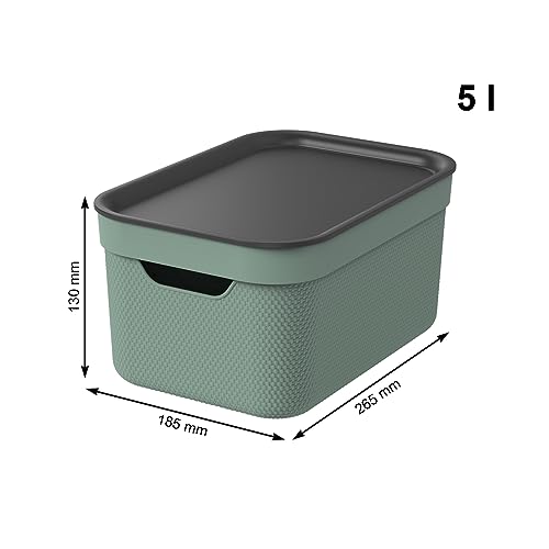 Jive Dekobox 3er-Set Aufbewahrungsbox 5l mit Deckel, Kunststoff (PP recycelt), grün/anthrazit, 3x5l (26.5 x 18.5 x 13.2 cm)
