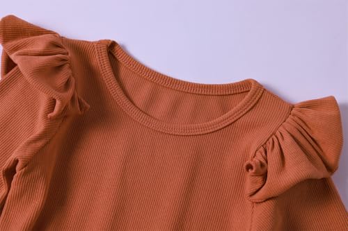 Little Girls Long Sleeves Dress Toddler Sparkle Stars Tulle Tutu Party Dresses4