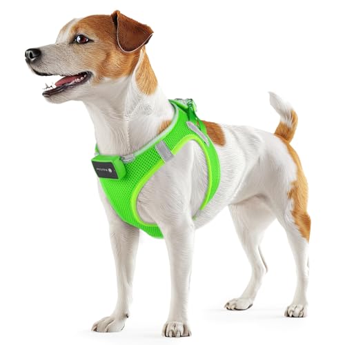 PcEoTllar Hundegeschirr Leuchtend, Leuchtgeschirr LED Aufladbar & Reflektierendes, Beleuchtetes Leuchtgeschirr für Welpe Klein Mittlere Hund, Atmungsaktiv Leucht Geschirr, Grün-S