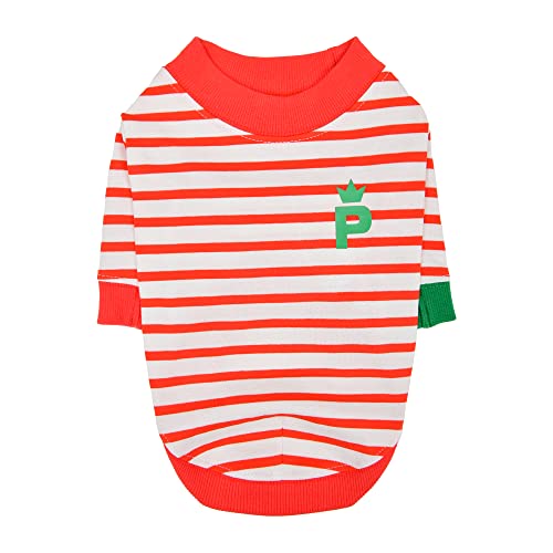 Tee-Shirt pour Chien XL Orange Mate pour des Balades Colorées en Forêt