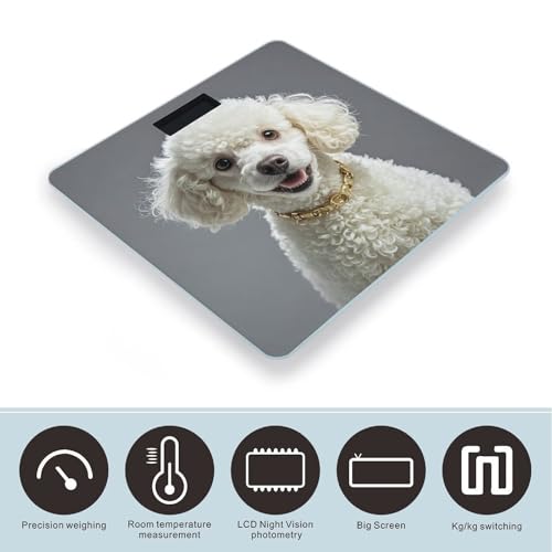 Báscula digital francesa para baño de vidrio templado miniatura 3