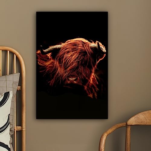Tableaux décoratifs muraux vache Highlander 40x60 cm MuchoWow