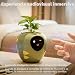 Imagen de Plantbot Robot de Macetas Inteligente Mejorado Grande con Inteligencia Artificial