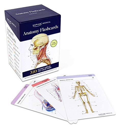 Anatomy Flashcards