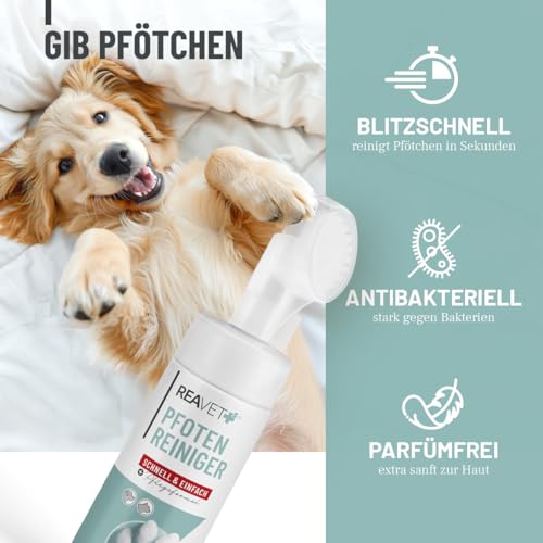 ReaVET Pfotenreiniger für Hunde mit Pfotenschaum, Hundepfoten Reiniger, Pfoten waschen Hund ohne Abspülen, Pfotenpflege mit Hamamelis & Gurke, Dog Paw Cleaner, Paw Foam Cleaner 150ml