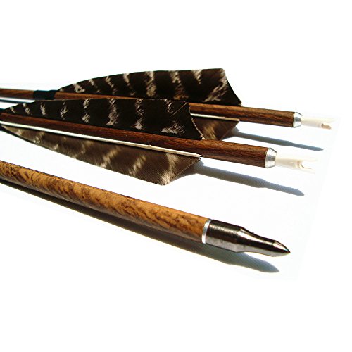 Archery Hunting Carbon Arrows, MS Carbon Fiber Arrow Spine 400 with Replacement Screw-in 100 Grain Points and 4 Inch Real Feather for Compound Bow Recurve and Long Bow 6 Pack (29inch)