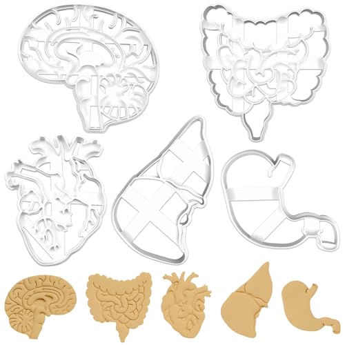 GreenYeah 5PCS Halloween Keksausstecher Anatomisches, Halloween Anatomisches Herz, Gehirn, Darm, Magen, Lunge Ausstechformen, Menschliche Organe Keksausstecher, Halloween DIY Keksausstecher
