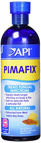 API Pimafix 16oz Bottle