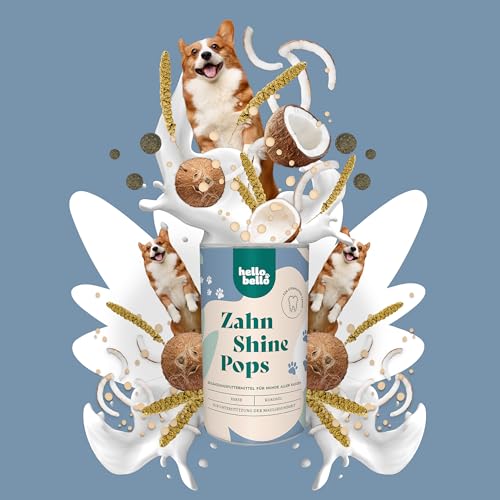 HELLOBELLO kaltgepresste Zahn Shine Pops für Hunde 200g für strahlende Zähne & gegen Mundgeruch - Mit Hirse, Kokosöl & Kokosmehl - Zahnsteinentferner Hund, Hunde Zahnpflege, Hund Zähne Snack