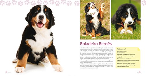 Cães: 176 Raças Para Você Conhecer e se Encantar