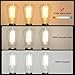 Ascher 12-Pack Vintage LED Edison Light Bulb 60W Equivalent, Decorative Antique Filament Light Bulbs with 80+ CRI, Warm White 2700K, 700 Lumens, E26 Base, Non-Dimmable