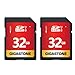 Produktbild Gigastone 32GB SDHC Speicherkarte 2er-Pack, UHS-I U1 Klasse 10, bis zu 80 MB/Sek. für Digitalkameras Canon Sony Nikon Olympus PC