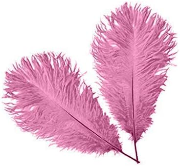WedDecor Baby Pink Natural Ostrich Feathers 14-16" (35-40cm) Long for Wedding Centerpieces Home, Decorating Costumes