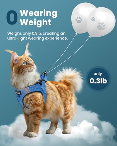 Image of FAYOGOO Cat Harness and Leash Set, Escape-Proof Step-in Vest for Walking