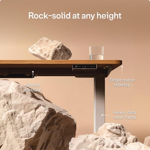 Image of Desktronic HomePro Standing Desk 48x24 - Made in Europe, Ergonomic Sit Stand Home Office Desk, Electric Height Adjustable, Dual Motor, USB & USB-C Charging, Wobble-Free, Touchscreen, 3 Memory Presets