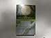 The Wedding Machine The Convenient Groom (Two Novels in One Volume)