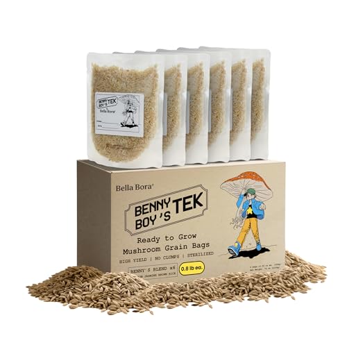 Bella Bora Grain Spawn Bags | 6-Pack Mushroom Grow Bags (5 lbs) | Unpolished Brown Jasmine Rice as Mushroom Substrate Sterilized | Fast Colonization Easy to Use