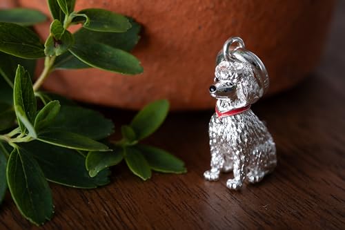 Colgante de plata de ley idóneo para regalar y añadir a pulseras de cuentas 2