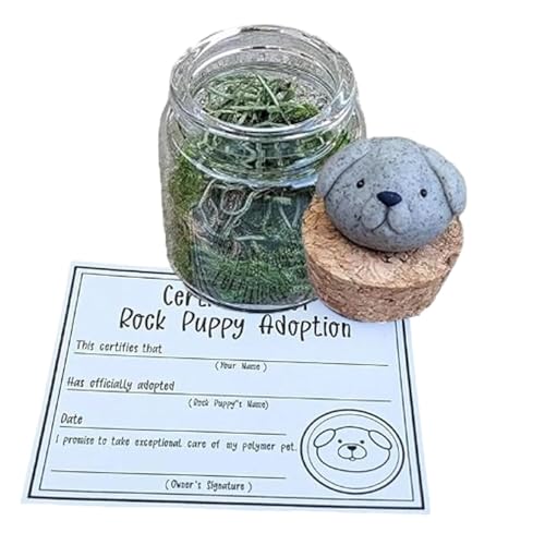 Adopt A Rock Pet, Igel Schreibtisch Haustier, Rock Pet Adoption Geschenk, Pet Rock mit Adoptionszertifikat, Rock Igel Schreibtisch Dekoration, Schreibtisch Haustier Rock Begleiter Tier Rock Pet Adopt A Rock Pet, Igel Schreibtisch Haustier, Rock Pet Adoption Geschenk, Pet Rock mit Adoptionszertifikat, Rock Igel Schreibtisch Dekoration, Schreibtisch Haustier Rock Begleiter Tier Rock Pet