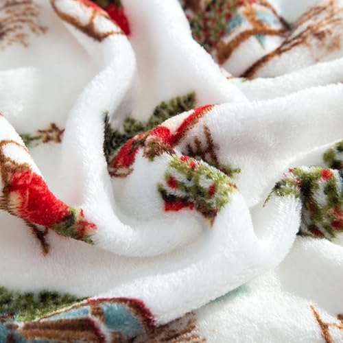 Elegant Comfort Luxuriously Soft 4-Piece Holiday Velvet Plush Flannel Sheet Set - Premium Quality - Cozy Warm, Christmas Fuzzy Velvet Flannel Fleece Deep Pocket Sheet Set - Cal King, Bungalow