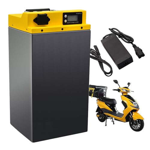 FREEDOH Batería de Motocicleta de 48 V, batería LiFePO4 de 60 V, batería de Litio de 72 V, batería de Repuesto de 20 Ah, 30 Ah y 40 Ah con Cargador para Motor de 0 a 3000 W.,48v40ah