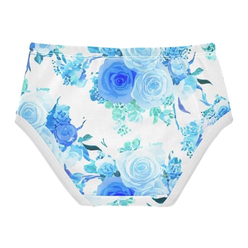 Pastel Blue Rose Flower Girls Underwear Toddlers 2t Cotton Cute Panties Girl Personalized Briefs Girls Undies2
