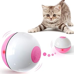 IOKHEIRA Interactive Cat Toys Ball (4th Gen) Wicked Ball for Indoor Cats Adult, Auto 360° Self-Rotating & USB Rechargeable with LED Red Light Toy for Cat Kitten