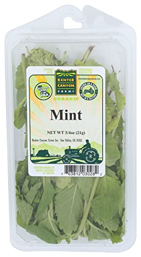 Herb Mint Organic