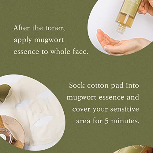 [I'm From] Mugwort Essence 5.4 Fl Oz | 100% Vegan Mugwort Extract - Soothe Sensitive And Irritated Skin, Redness Relief, Refreshing, Hydrating Toner | All Skin Types, Peta Approved #TOP6