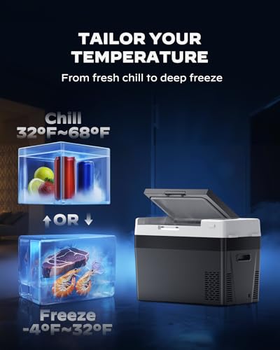 Marsail 32QT 12V Electric Cooler