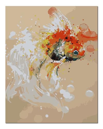 Peinture par numéros adulte poisson rouge kit huile débutant toile 40x50 cm avec cadre