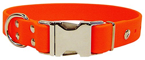 Auburn LeathercraftersSparky's Choice Dog Collar Color: Orange, Size: 0.75" x 16"