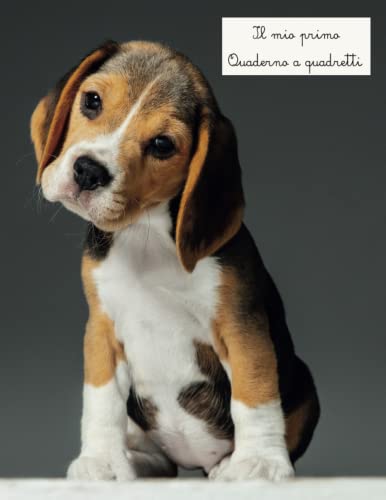  Il mio Primo Quaderno a Quadretti: Rendi speciale il primo giorno di scuola di tuo figlio  Quadretti da 10 mm per la prima elementare  105 Pagine Grande formato  Cucciolo Beagle