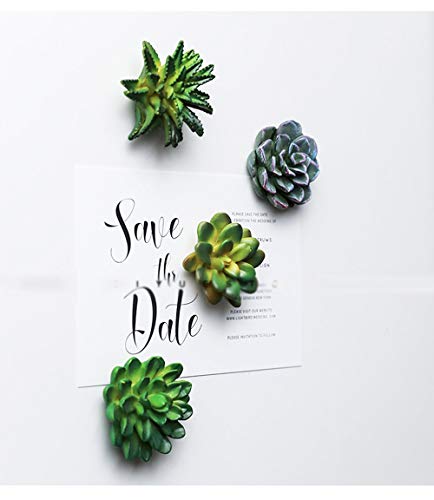 Cocome Funny 3D Resin Succulent Fridge Refrigerator Magnets, Set Of 4 #TOP2