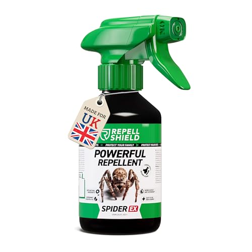 RepellShield Spider Repellent Spray -250ml- Peppermint Spider Repellent for House Garage & Shed - Indoor & Outdoor Anti Spider Spray for Windows Corners Doors & Entry Points with Fresh Mint Scent