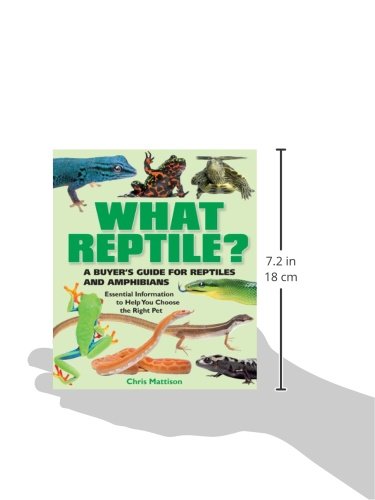What Reptile?: A Buyer's Guide for Reptiles and Amphibians