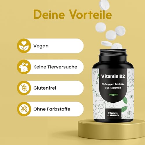 Vitamin B2 hochdosiert - 365 Tabletten - 250 mg Riboflavin, vegan & produziert in Deutschland - Laborgeprüft - Verpackung kann variieren