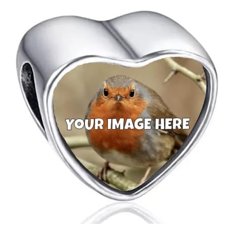 2Burned Personalised Stainless Steel 316 Love Heart Photo Charm Bead Gift Fit Pandora Cover