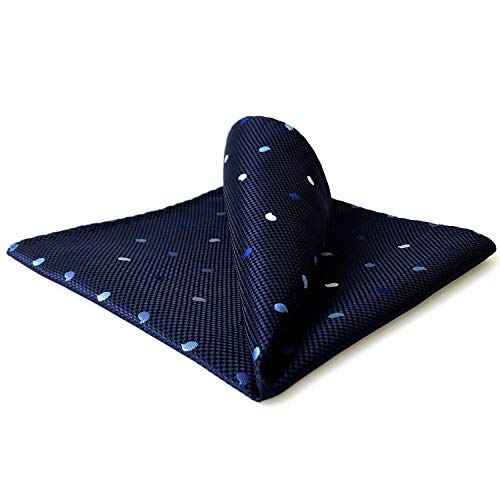 S&W SHLAX&WING Pañuelos de Bolsillo Para Hombre Azul Armada Paisley Cover