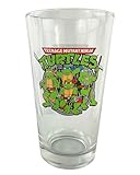 Surreal Entertainment Teenage Mutant Ninja Turtles Leonardo Donatello Raphael Michelangelo 16oz Pint Drinking...