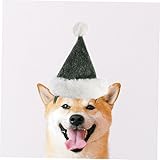 Zoom IMG-1 hanabass 1 set pet christmas