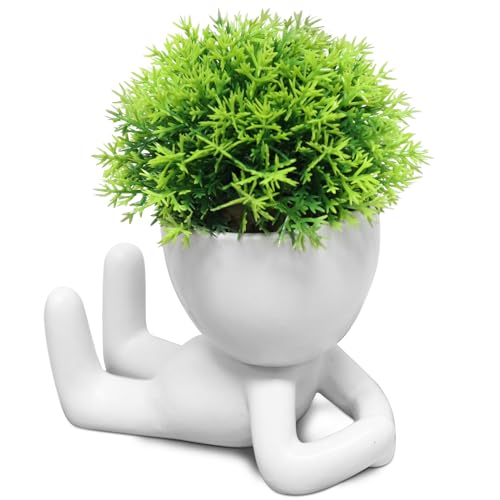 Zerzsy Mini Succulent Plant - Plants Gift - Cute Desktop Decoration Desk Decorations for Women Office -Small Plants Shelf Decor-Cute Cubicle Accessories-Set of 1