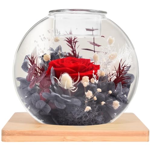 Kronabelle Rosa roja preservada en cúpula de cristal, portavelas perfumada con base de madera, exhibición de flores eternas de 11 cm, arreglo floral decorativo para el hogar, regalo para ella