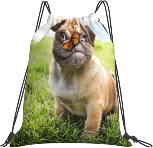 [ESASAV] Ǝq ibvTbN [ e h y ܂ [obO В j ^ s AEghA